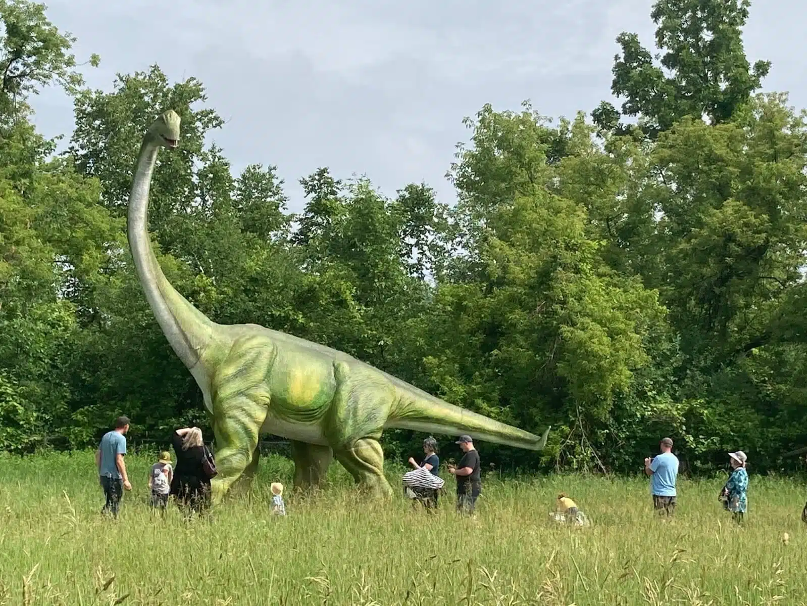 Pre-Historic Edutainment Event, The Lost Kingdoms, To Open In London’s Hainault Forest Country Park this Easter 8 Image 23 min