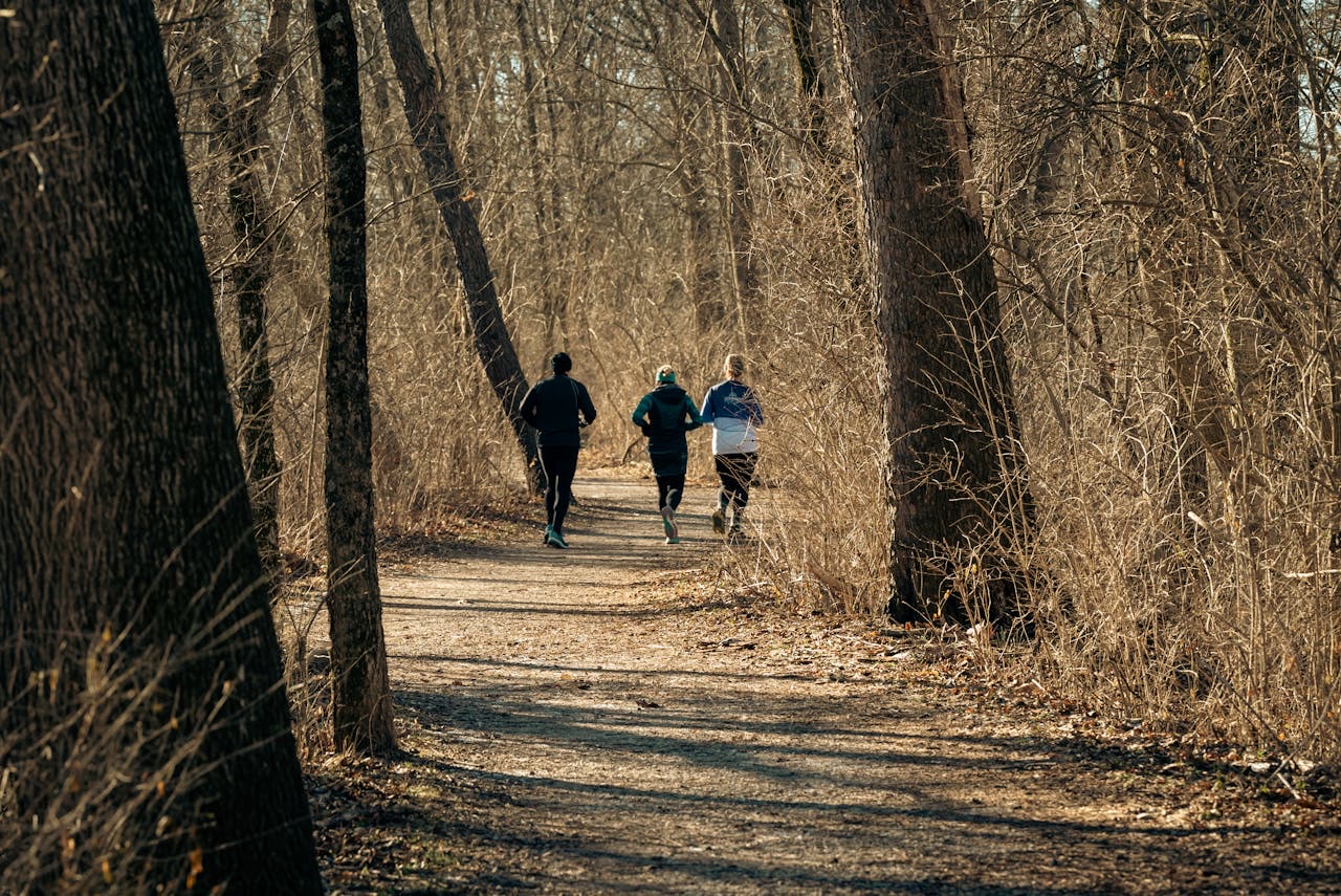 Runners navigating a scenic forest trail, embracing the spirit of the London Winter Run for fitness and fun.