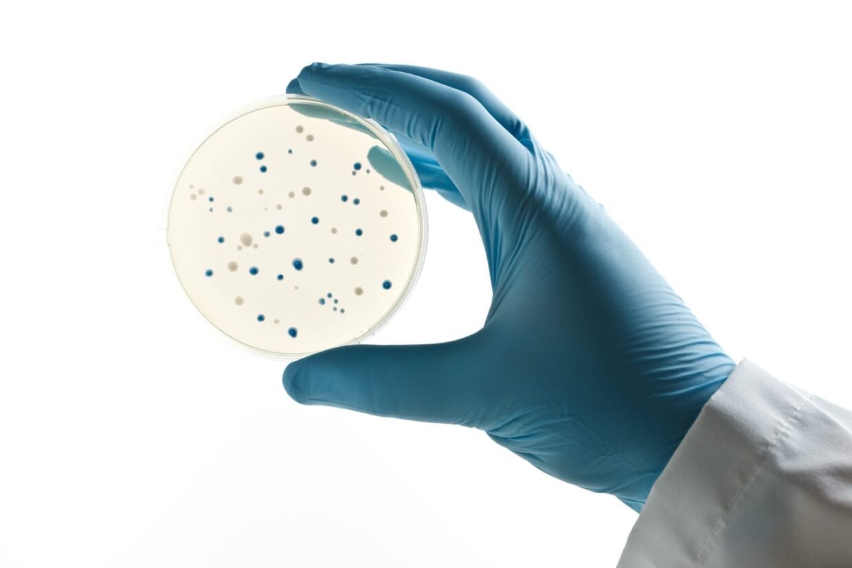 hand holding petri dish