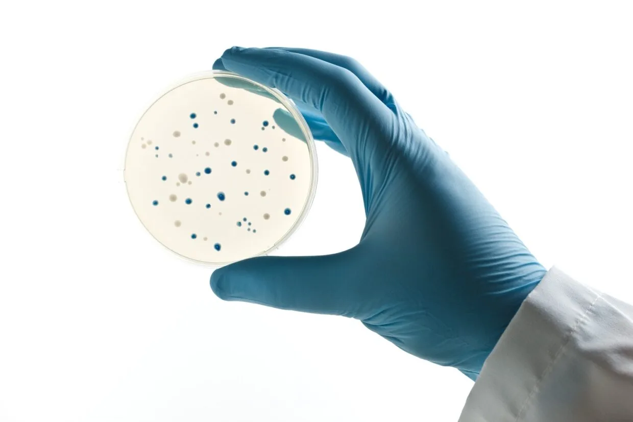 How to evaluate a supplier of Petri dishes: IVD, ISO 13485, IVDR, declarations of conformity 8 hand holding petri dish