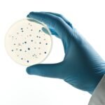 hand holding petri dish